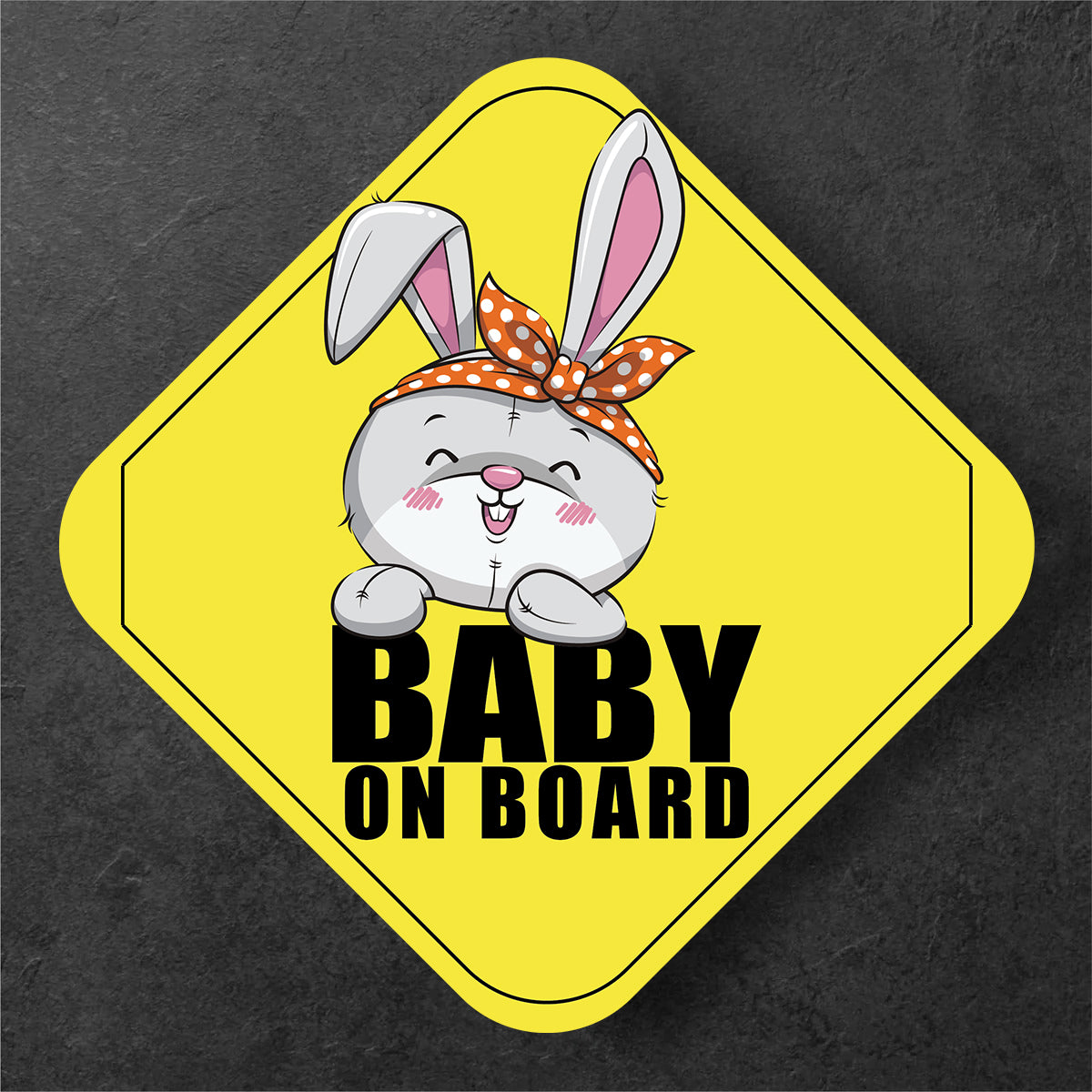 Stylish Bunny On Board